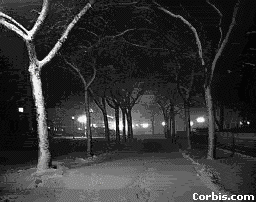 nycnight.jpg